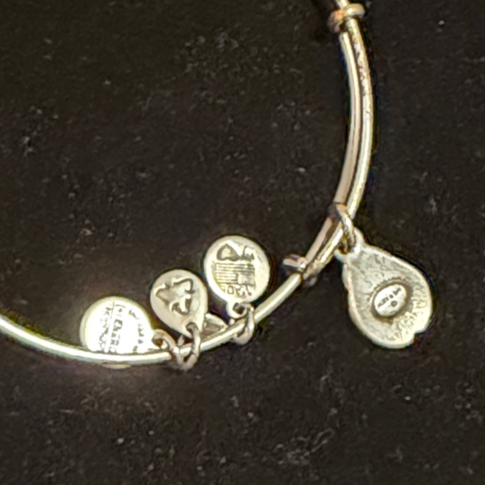 Alex and Ani Silver ladybug ๐ Charm Bracelet - Picture 3 of 3